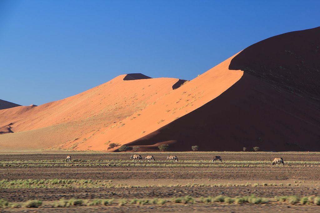 03-Big dunes in Sossusvlei.jpg - 